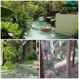 Photo #1: 230020605 Listing 