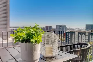 Photo #3: 230020840 Listing