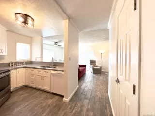 Photo #1: 230020923 Listing