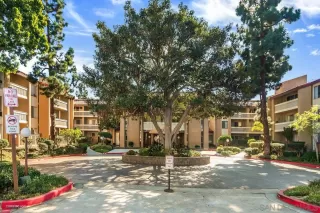 Photo #3: 230020942 Listing