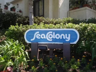 Photo #1: 230021036 Listing