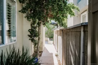 Photo #1: 230021094 Listing