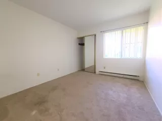 Photo #5: 230021215 Listing