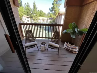 Photo #5: 230021305 Listing