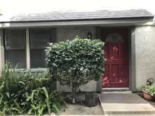 Photo #1: 230021347 Listing