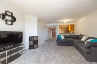 Photo #6: 230021490 Listing