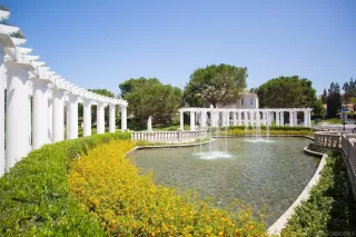 Photo #6: 230021553 Listing 