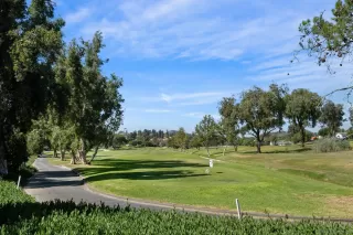 Photo #2: 230021839 Listing