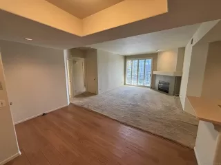 Photo #1: 230022232 Listing