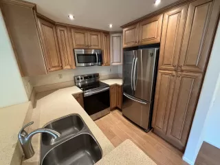 Photo #3: 230022232 Listing