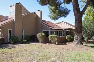 Photo #1: 230022242 Listing