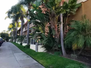 Photo #1: 230022474 Listing