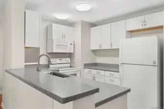 Photo #1: 230022617 Listing