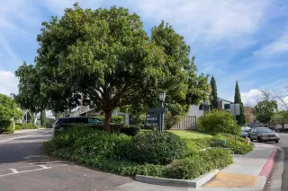 Photo #1: 230022646 Listing