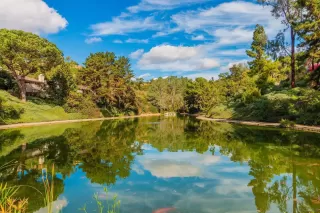 Photo #1: 230022681 Listing