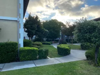 Photo #6: 230022688 Listing