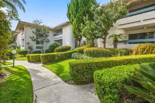 Photo #1: 230022699 Listing