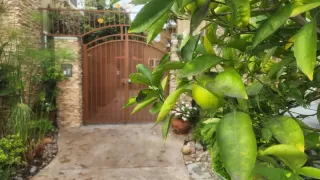 Photo #1: 230022741 Listing