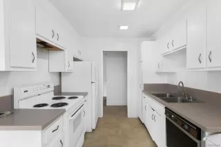 Photo #1: 230022874 Listing