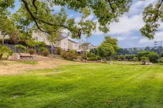 Photo #5: 230023118 Listing