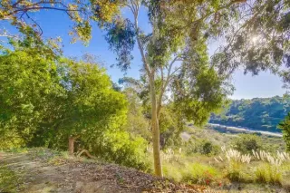 Photo #1: 230023130 Listing 