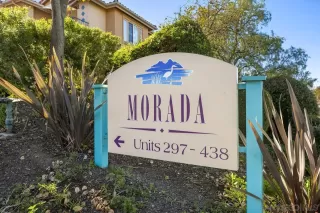 Photo #1: 230023205 Listing