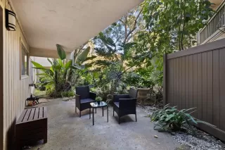 Photo #1: 230023221 Listing