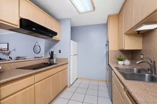 Photo #4: 230023221 Listing