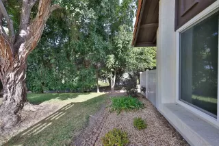 Photo #1: 230023452 Listing 