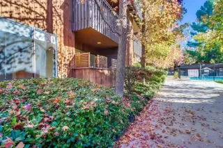 Photo #4: 230023517 Listing 