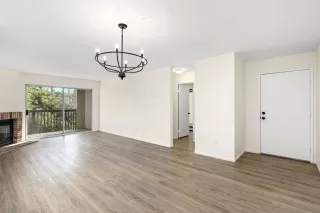 Photo #1: 230023828 Listing 