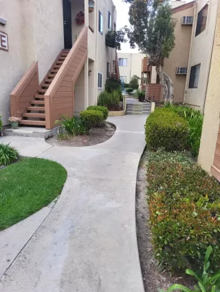 Photo #4: 230023836 Listing