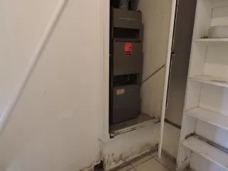 Photo #6: 230023856 Listing 