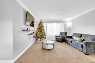 Photo #3: 230023859 Listing