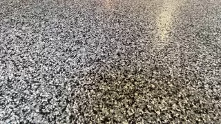 Photo #5: 230023992 Listing