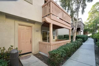 Photo #6: 230023992 Listing