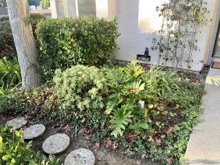 Photo #6: 230024188 Listing