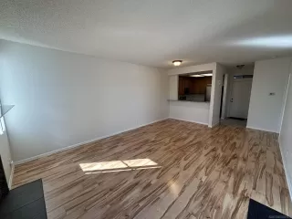 Photo #3: 230024231 Listing