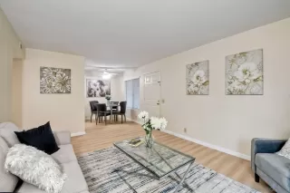 Photo #3: 230024302 Listing