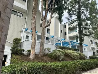 Photo #1: 240000095 Listing