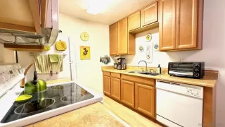 Photo #5: 240000098 Listing 