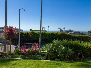 Photo #4: 240000185 Listing 