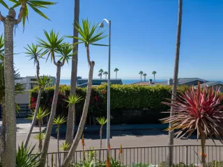 Photo #5: 240000185 Listing 