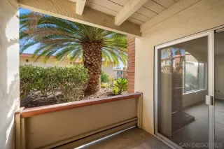 Photo #2: 240000256 Listing