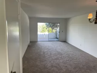 Photo #4: 240000375 Listing