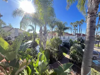 Photo #1: 240000379 Listing