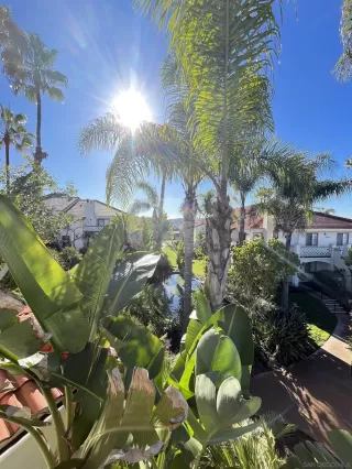 Photo #3: 240000379 Listing