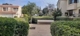 Photo #1: 240000484 Listing