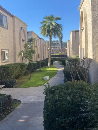 Photo #1: 240000593 Listing