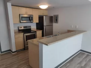 Photo #1: 240000599 Listing